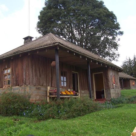 Castle Forest Lodge Mount Kenya National Park Bagian luar foto