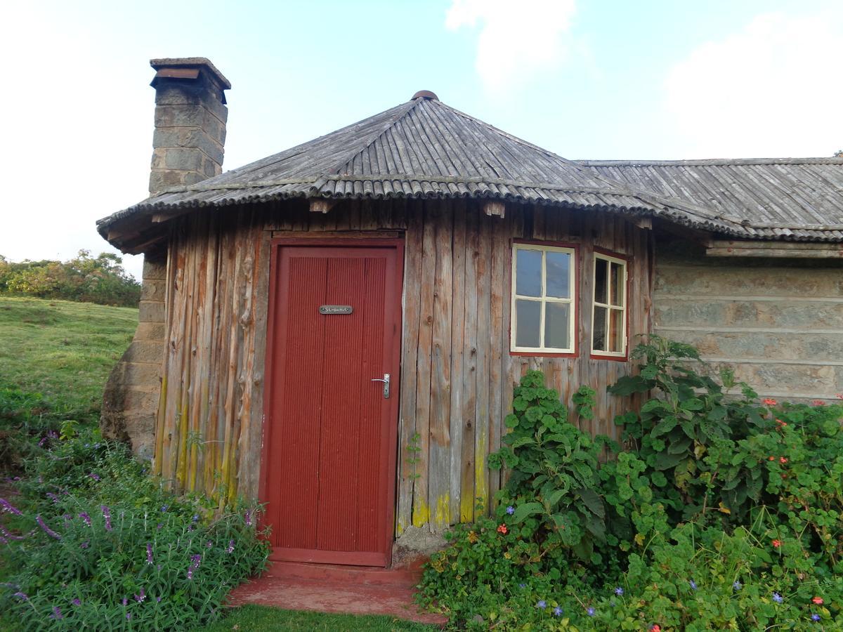 Castle Forest Lodge Mount Kenya National Park Bagian luar foto