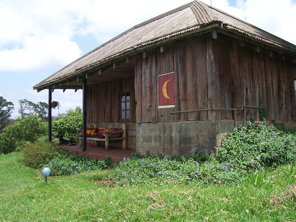 Castle Forest Lodge Mount Kenya National Park Bagian luar foto