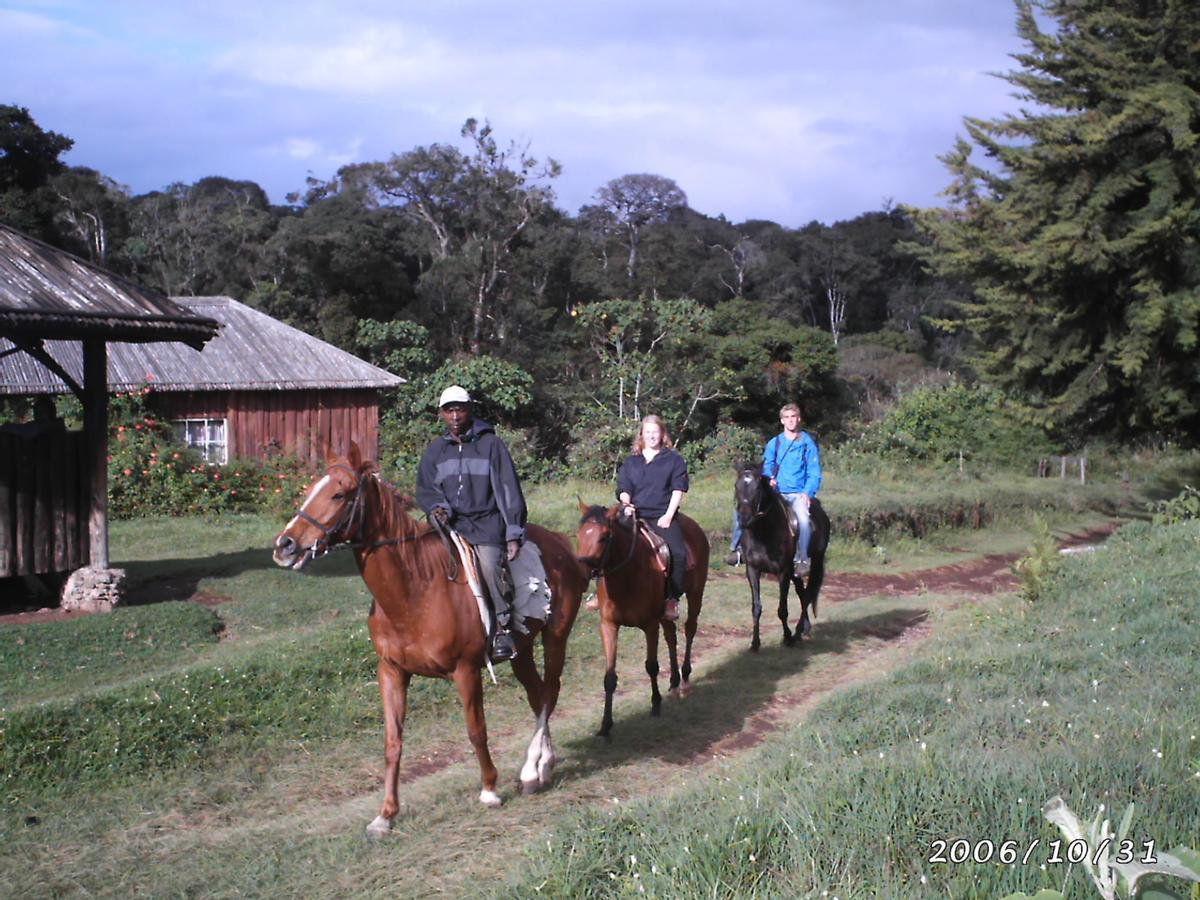 Castle Forest Lodge Mount Kenya National Park Bagian luar foto