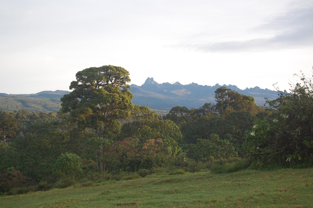 Castle Forest Lodge Mount Kenya National Park Bagian luar foto