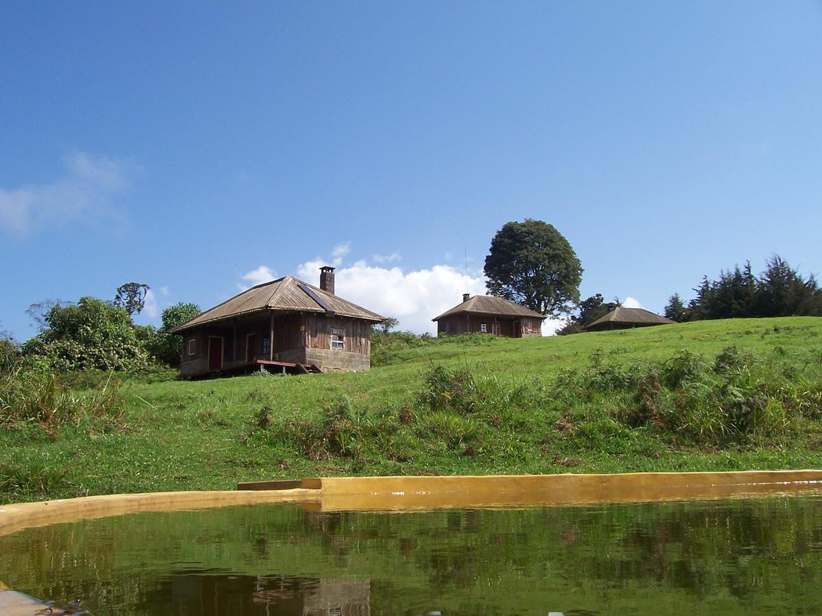 Castle Forest Lodge Mount Kenya National Park Bagian luar foto