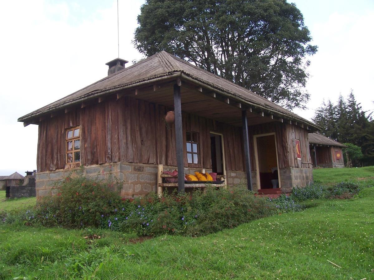 Castle Forest Lodge Mount Kenya National Park Bagian luar foto