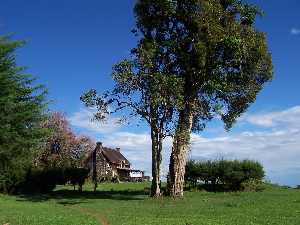 Castle Forest Lodge Mount Kenya National Park Bagian luar foto