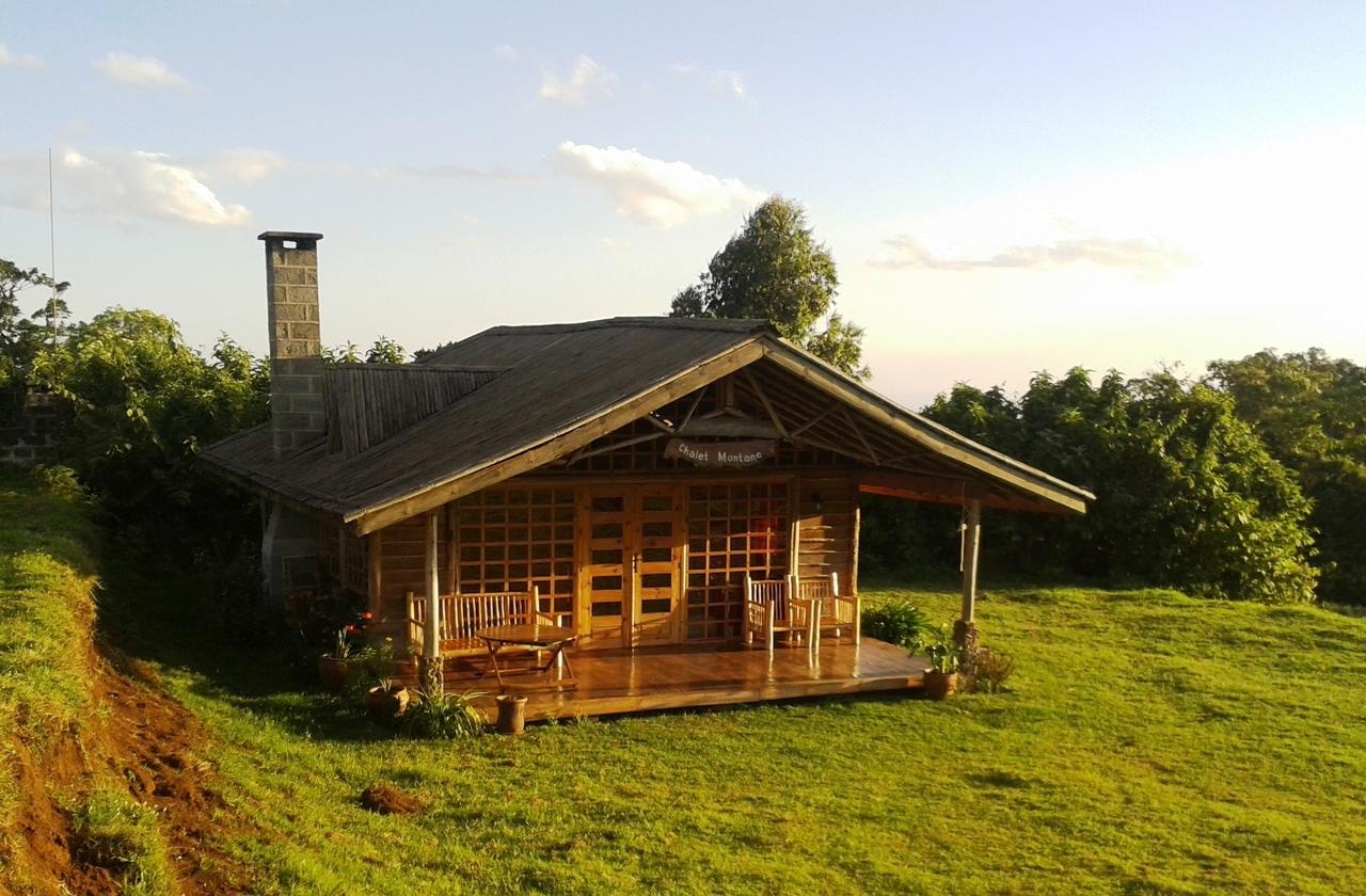 Castle Forest Lodge Mount Kenya National Park Bagian luar foto