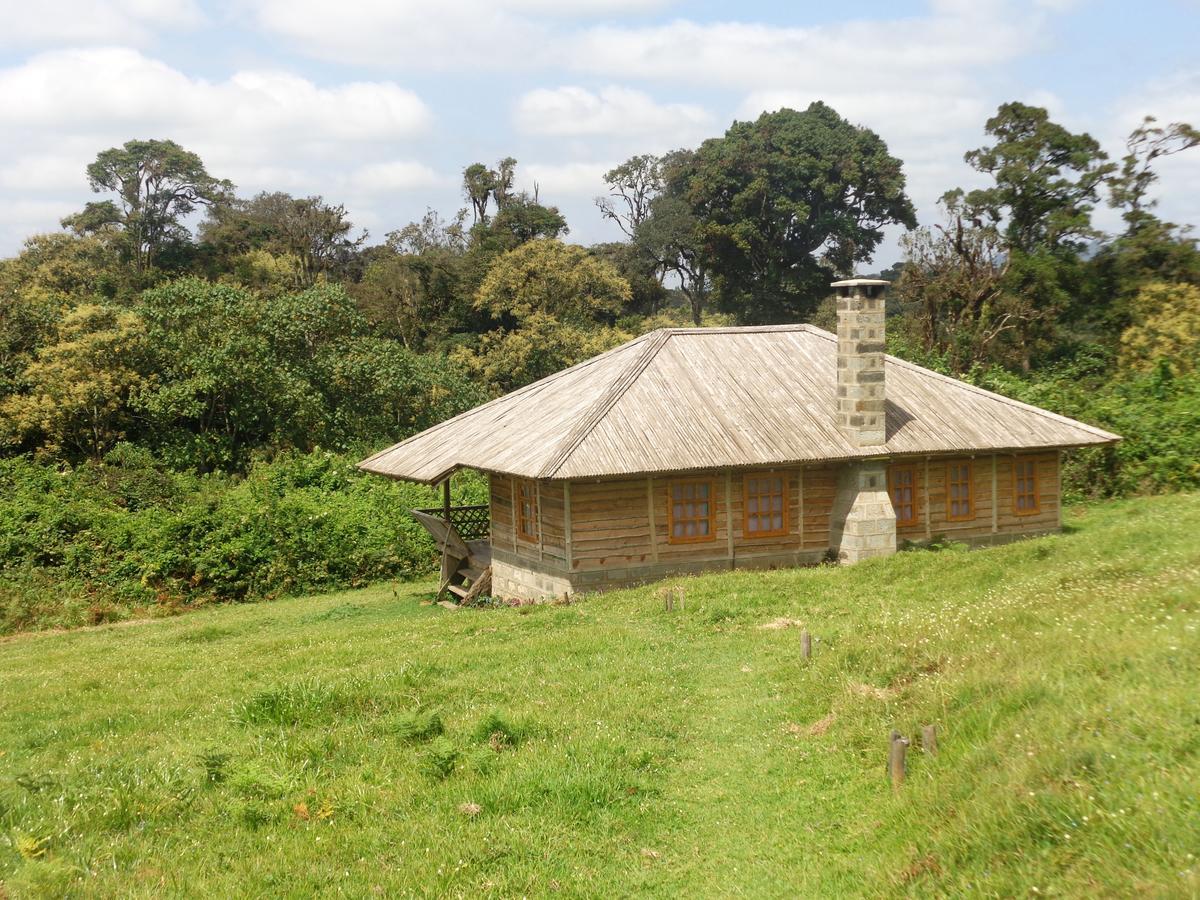 Castle Forest Lodge Mount Kenya National Park Bagian luar foto