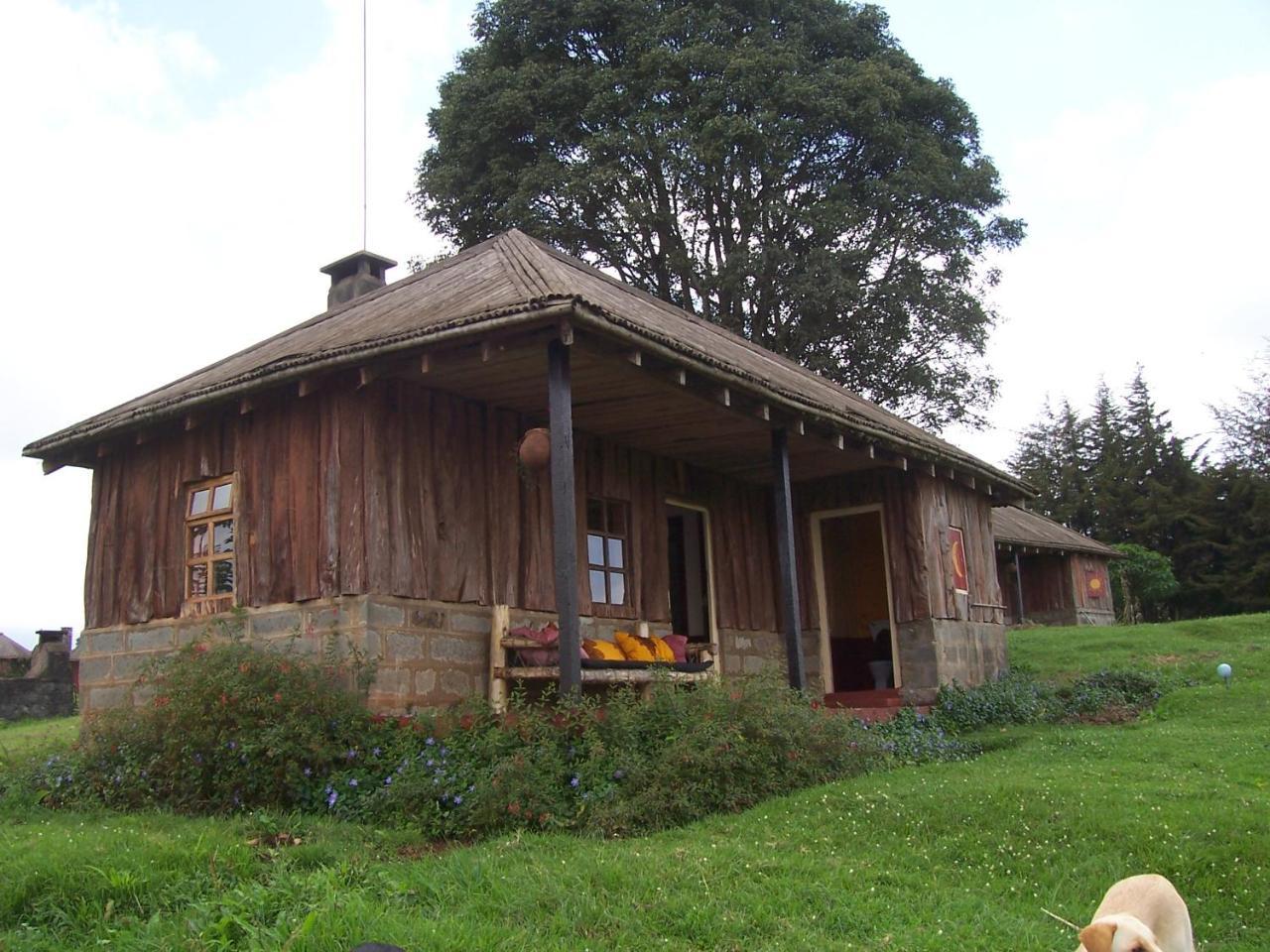 Castle Forest Lodge Mount Kenya National Park Bagian luar foto